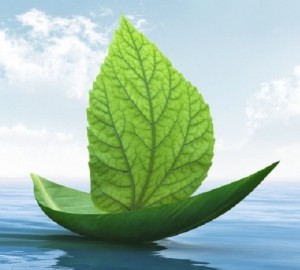 green-boat-picture-from-istockphoto1-640x377